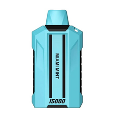 VERTU MIAMI MINT 15000 PUFFS